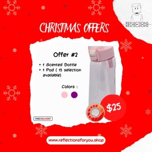 Christmas Offer #2